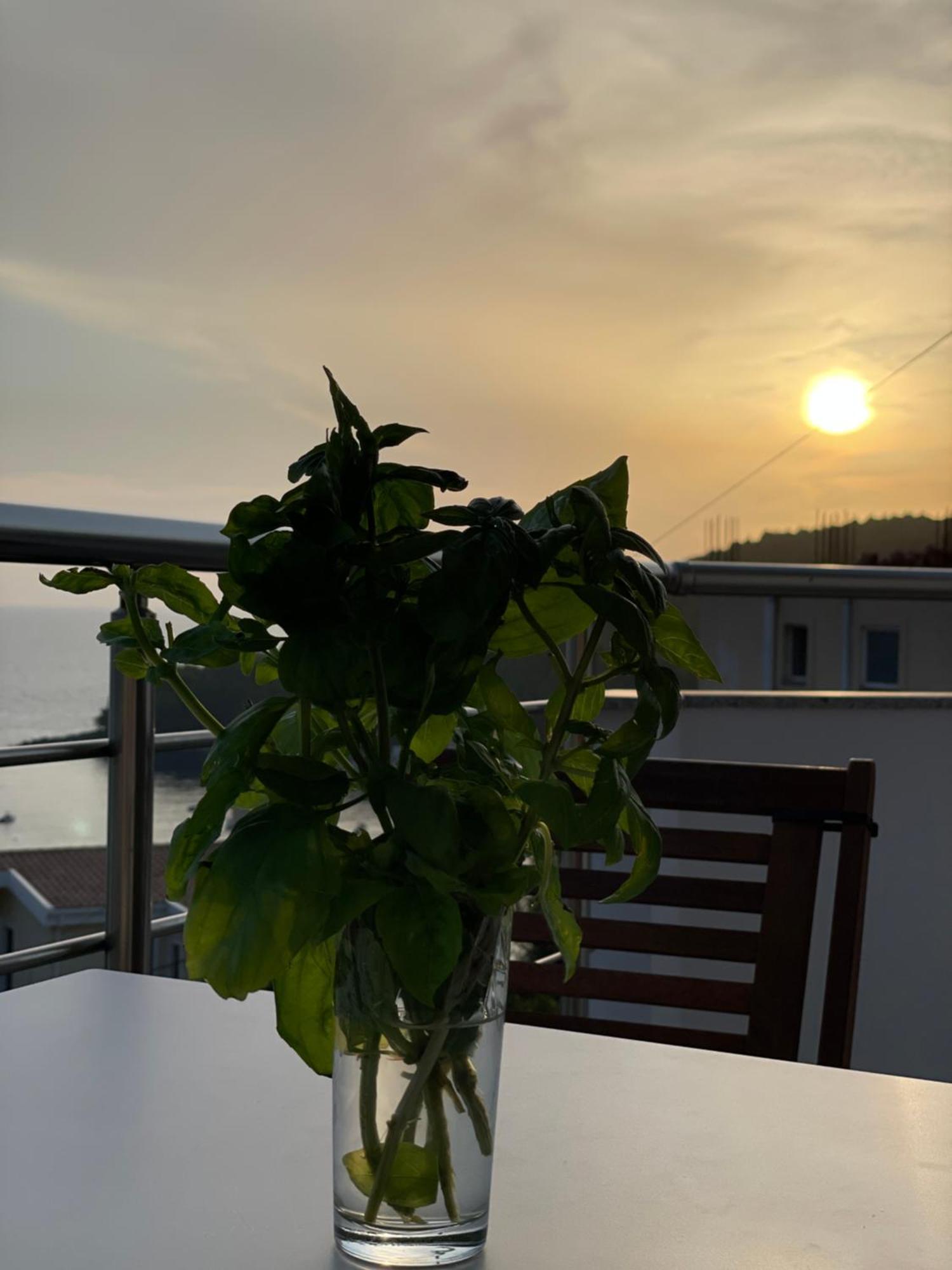 Tasos Guest house
